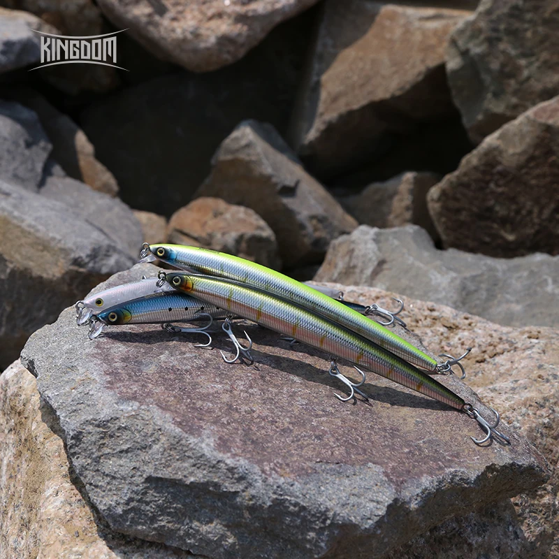Koninkrijk Lange Casting Visse - Fishing Lure Jerkbait recensie en prijs